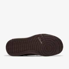 Sailview Lace — Brown 3