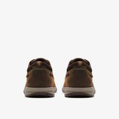 Sailview Lace — Brown 5