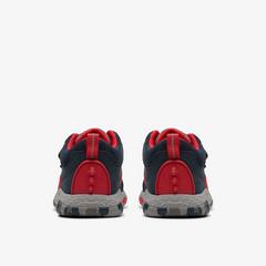 Steggy Rex Toddler — Blue 5