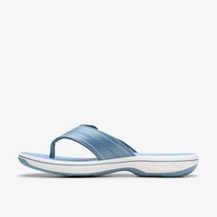 Breeze Reyna — Blue 2