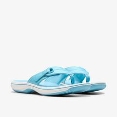 Breeze Reyna — Blue 4