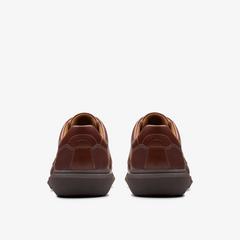 Watchet Lace — Brown 5