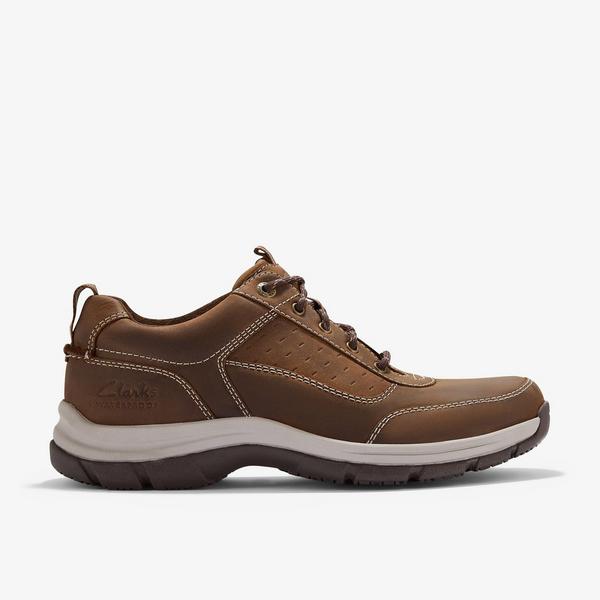 Spypath Ox — Brown