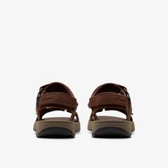 Saltway Edge — Brown 5
