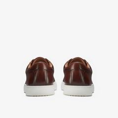 Lockton Lace — Brown 5