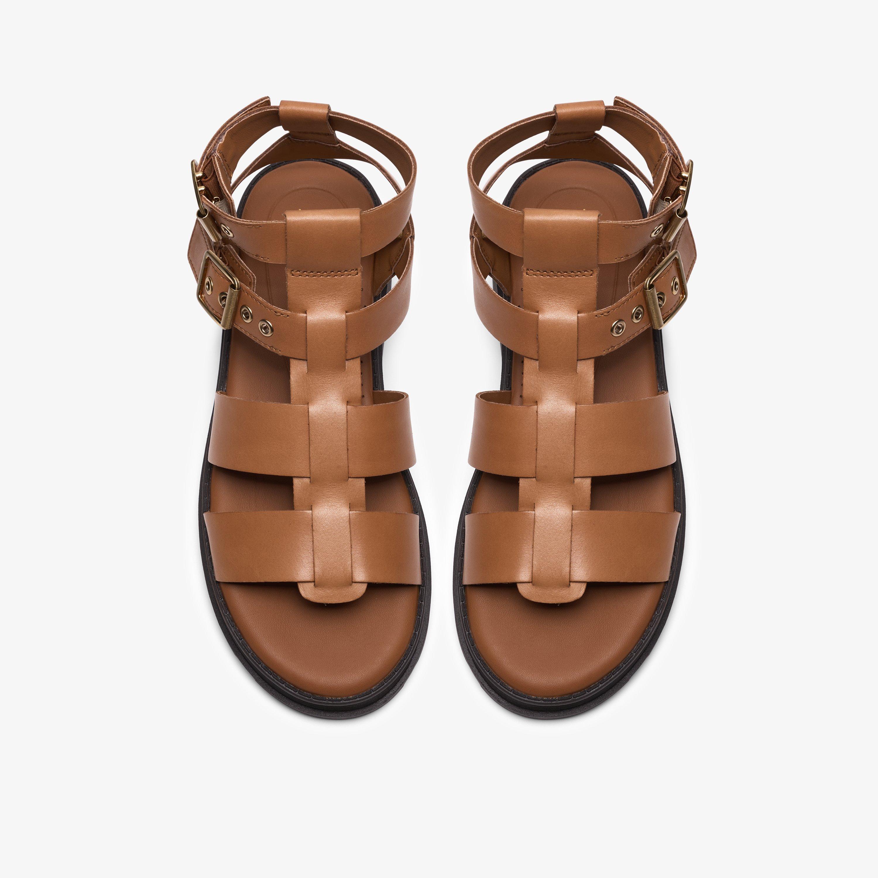 Orinoco3 Cove — Brown