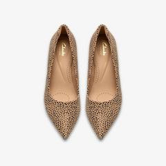 Zarey Court — Brown 6