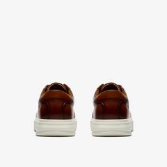 Goswell Tie — Brown 6