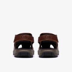 Guideview Cove — Brown 7