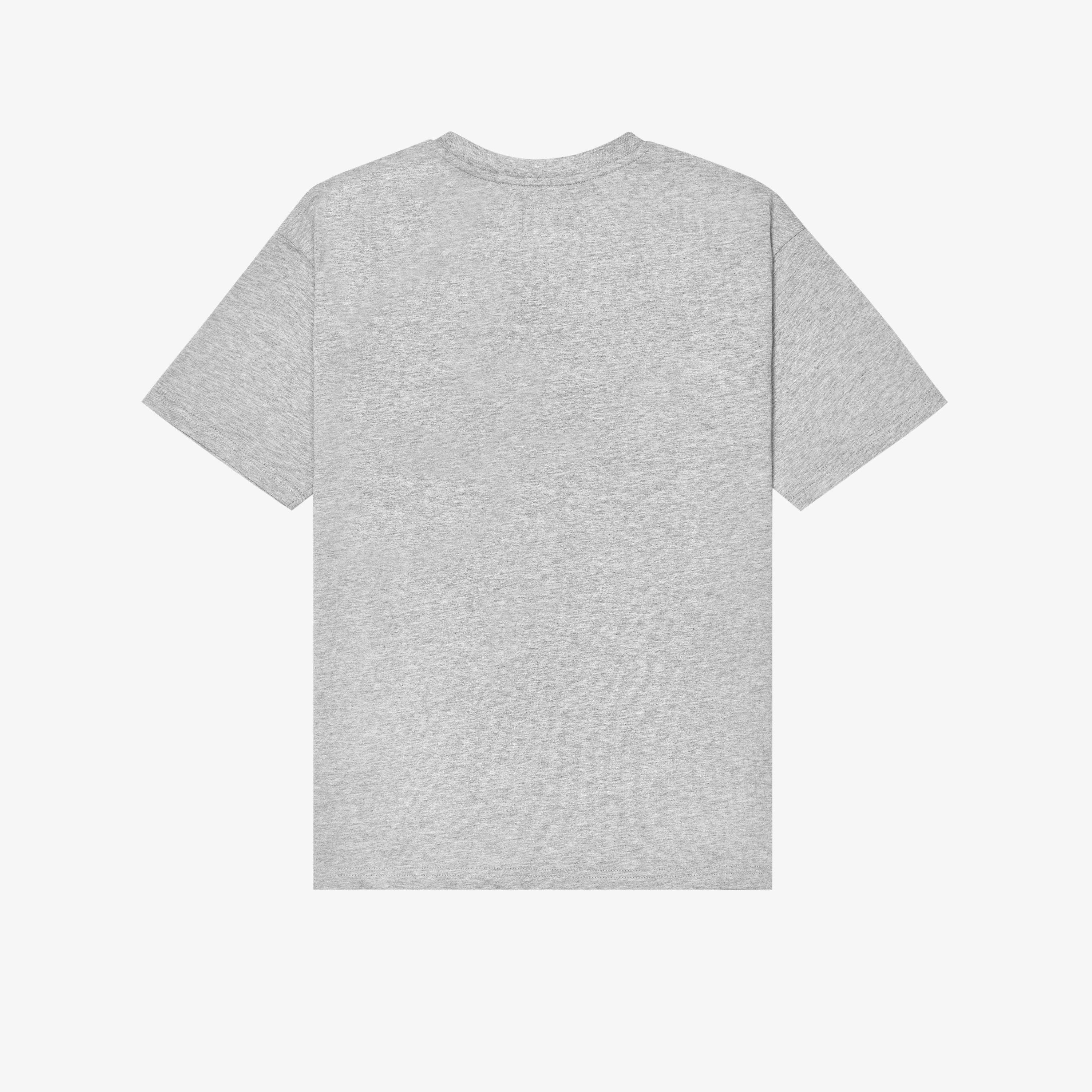 Cloudsteppers Core T Shirt — Grey