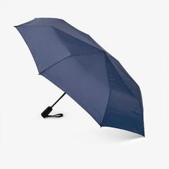 Umbrella — Blue 1