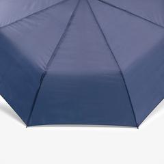 Umbrella — Blue 2