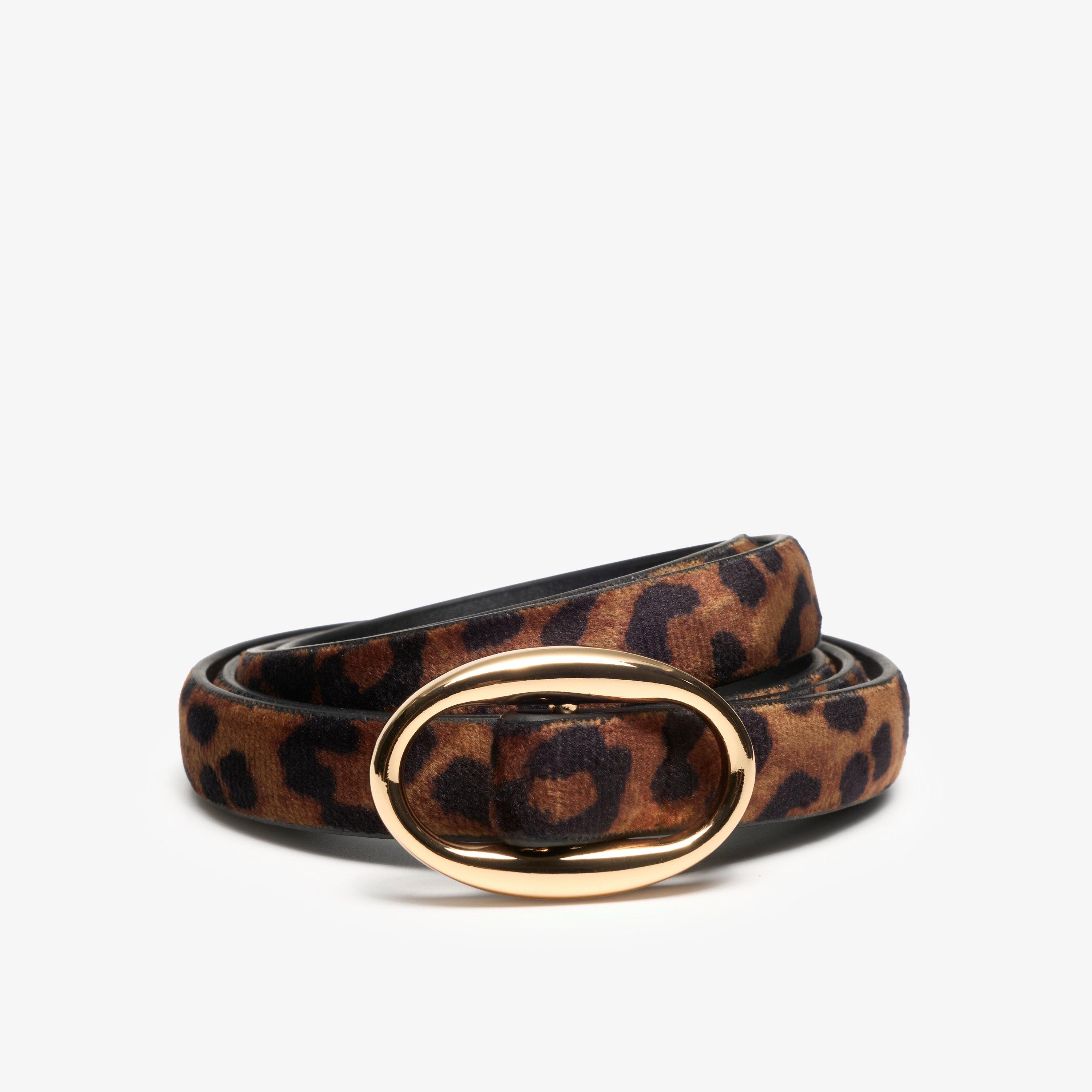 Narrow Interest Belt — Brown