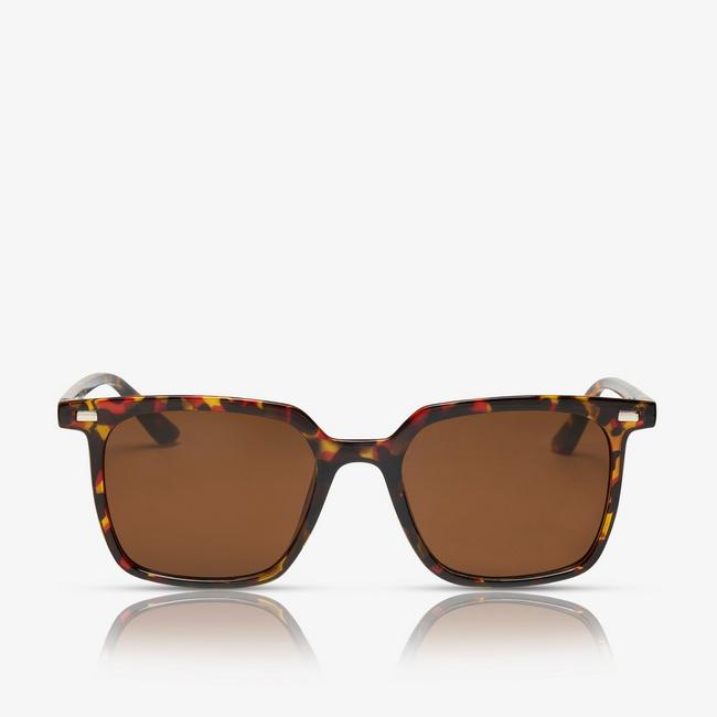 Clarks Lani Square sunglasses.
