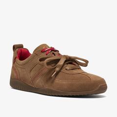 Meridor Lace — Brown 4