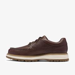 Melbury Lace — Brown 2