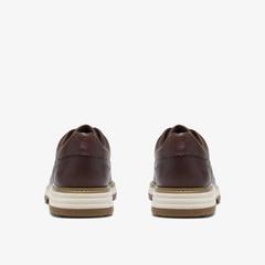 Melbury Lace — Brown 5