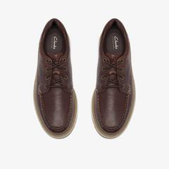 Melbury Lace — Brown 6