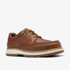 Melbury Lace — Brown 4