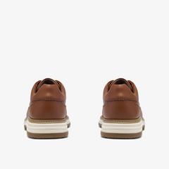 Melbury Lace — Brown 5