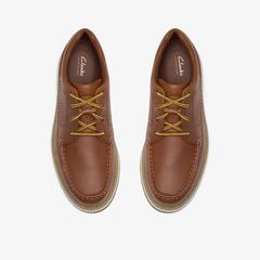 Melbury Lace — Brown 6