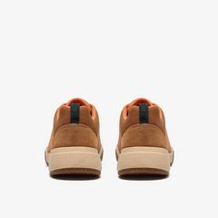 Aydria Lace Water Resistant  — Brown 5