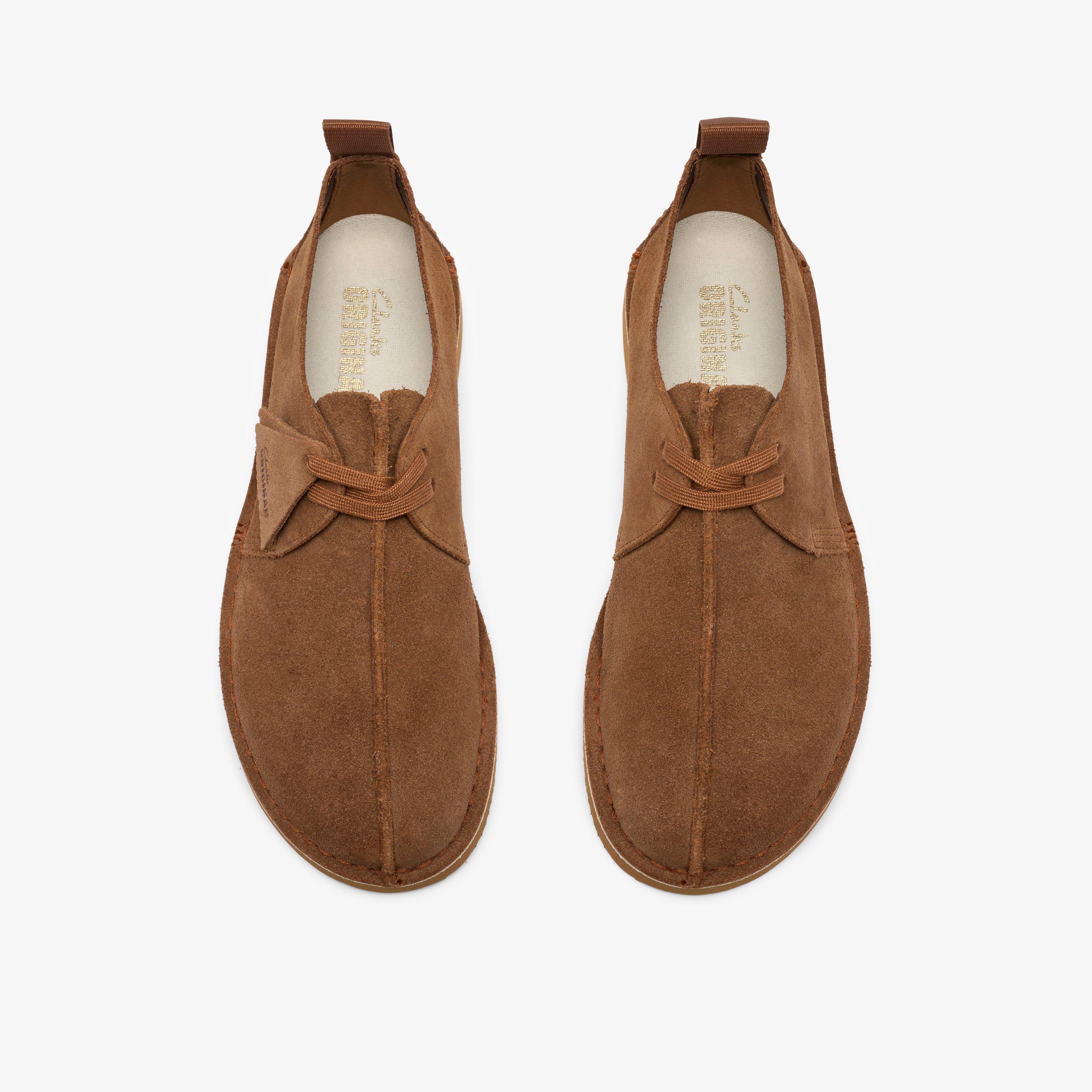 DesertTrek 2026 — Brown