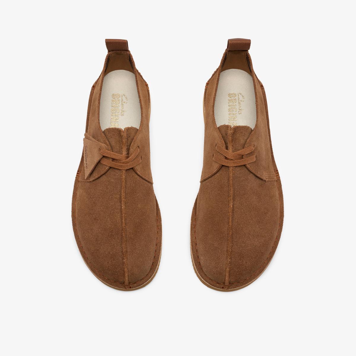 DesertTrek 2026 — Brown