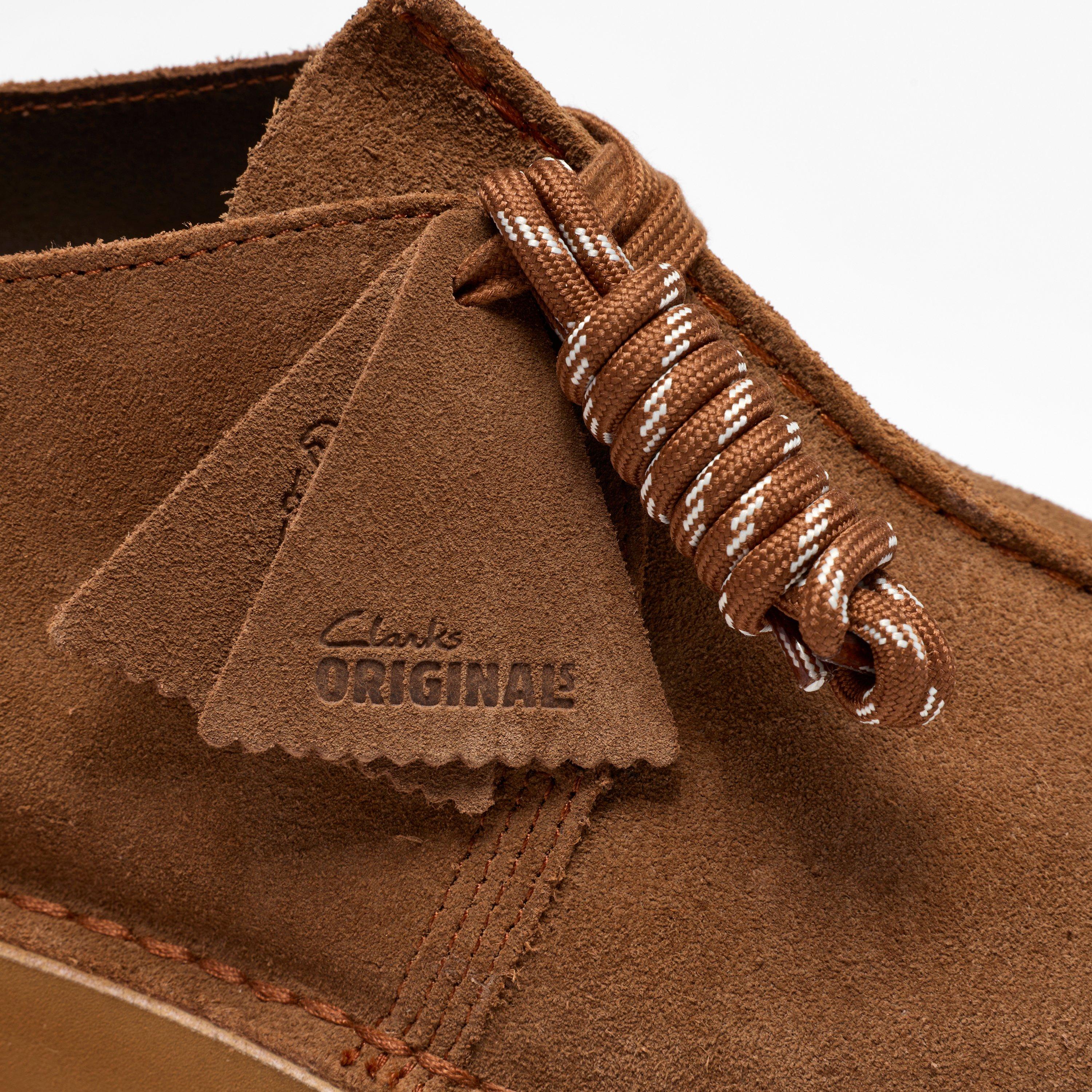 DesertTrek 2026 — Brown