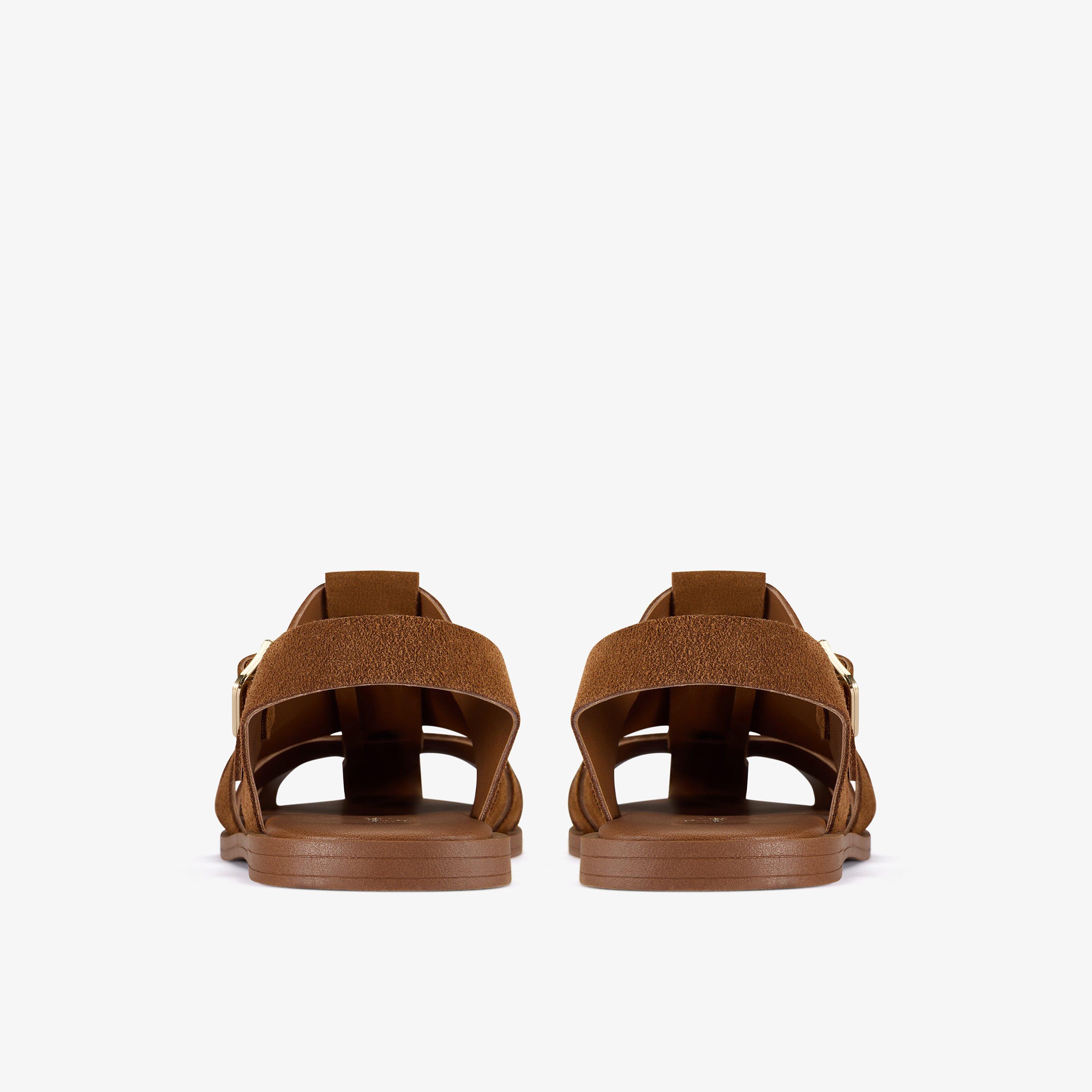 Nori Bay — Brown