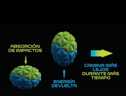 Ilustración que muestra cómo la espuma C360 proporciona absorción de impactos y retorno de energía para ayudarte a caminar más lejos durante más tiempo.