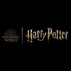 Shop Harry Potter