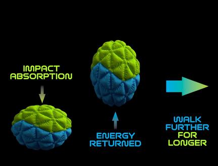 Illustration showing how C360 Foam provides impact absorption and energy return to help you walk further for longer