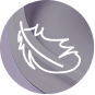 Solevana Foam™ icon