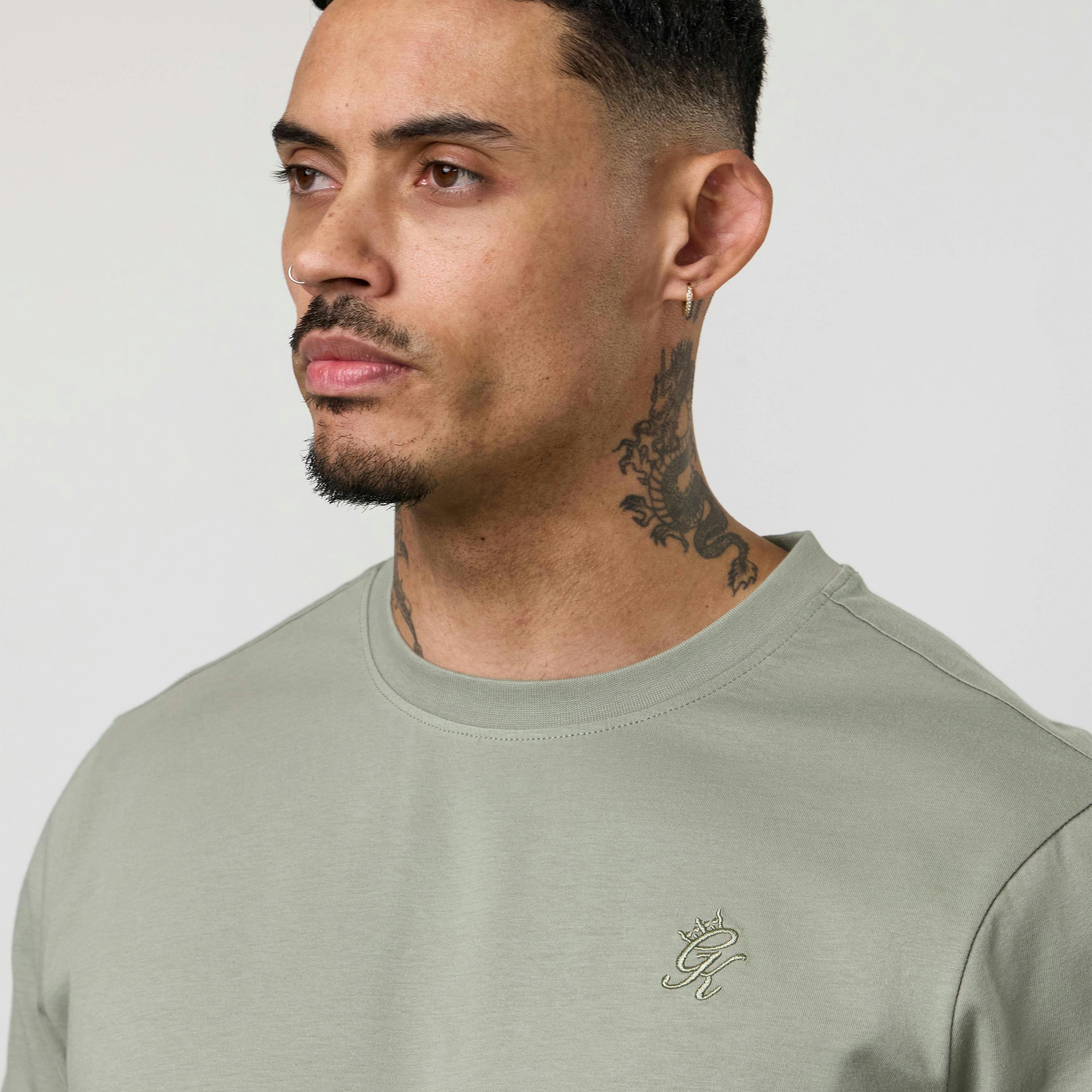 Gym King Victory Regular Fit Jersey T-Shirt - Soft Khaki , view 5 of 6