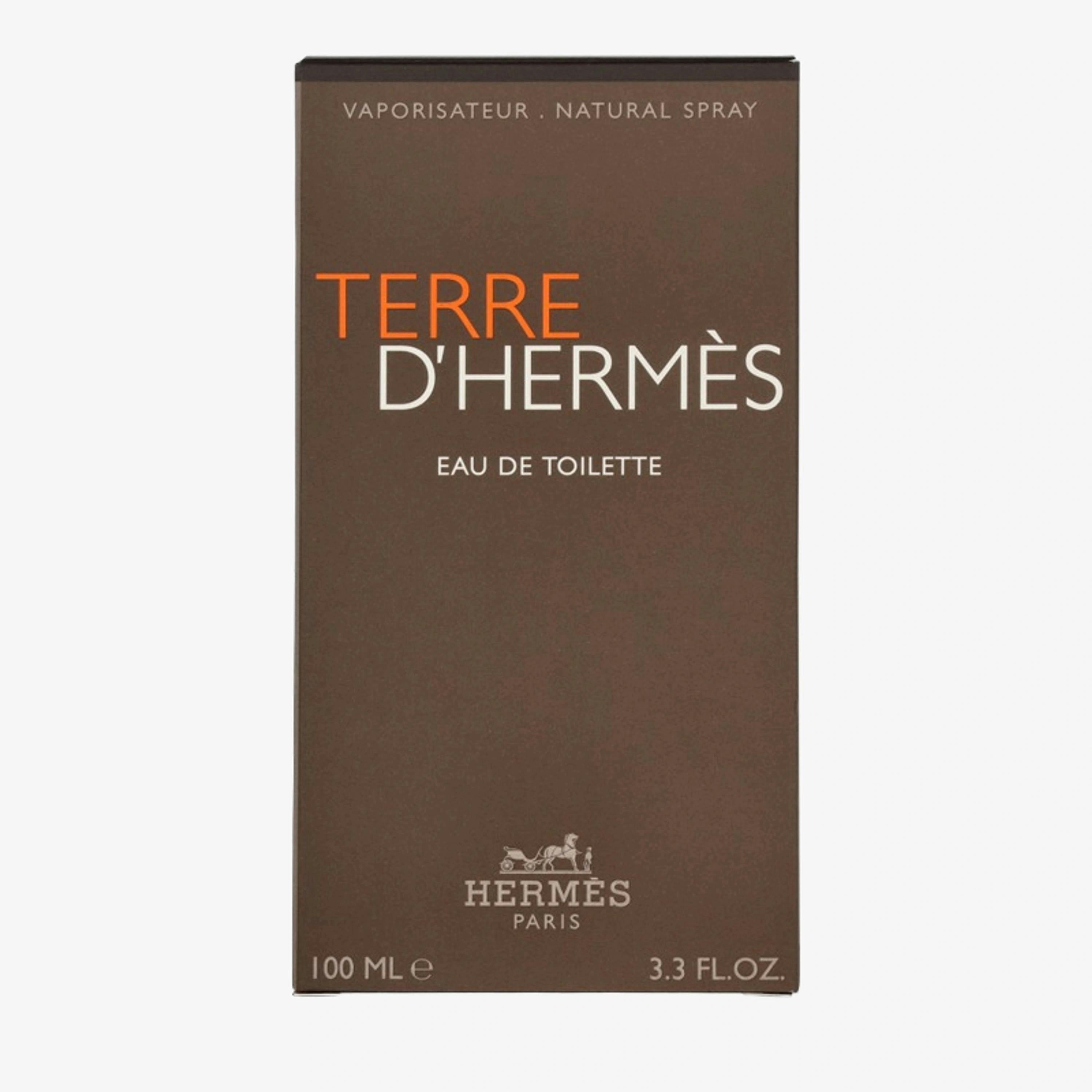 Hermès Terre D'Hermes Eau de Toilette 100 ml Single , view 1 of 2