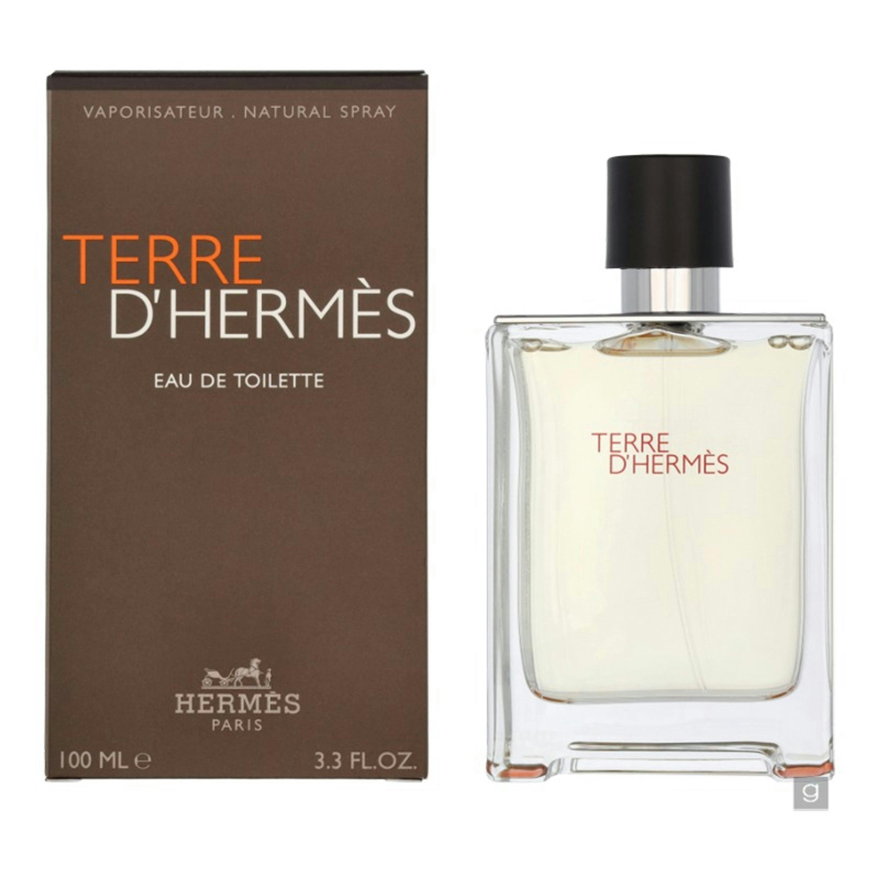 Hermès Terre D'Hermes Eau de Toilette 100 ml Single , view 2 of 2