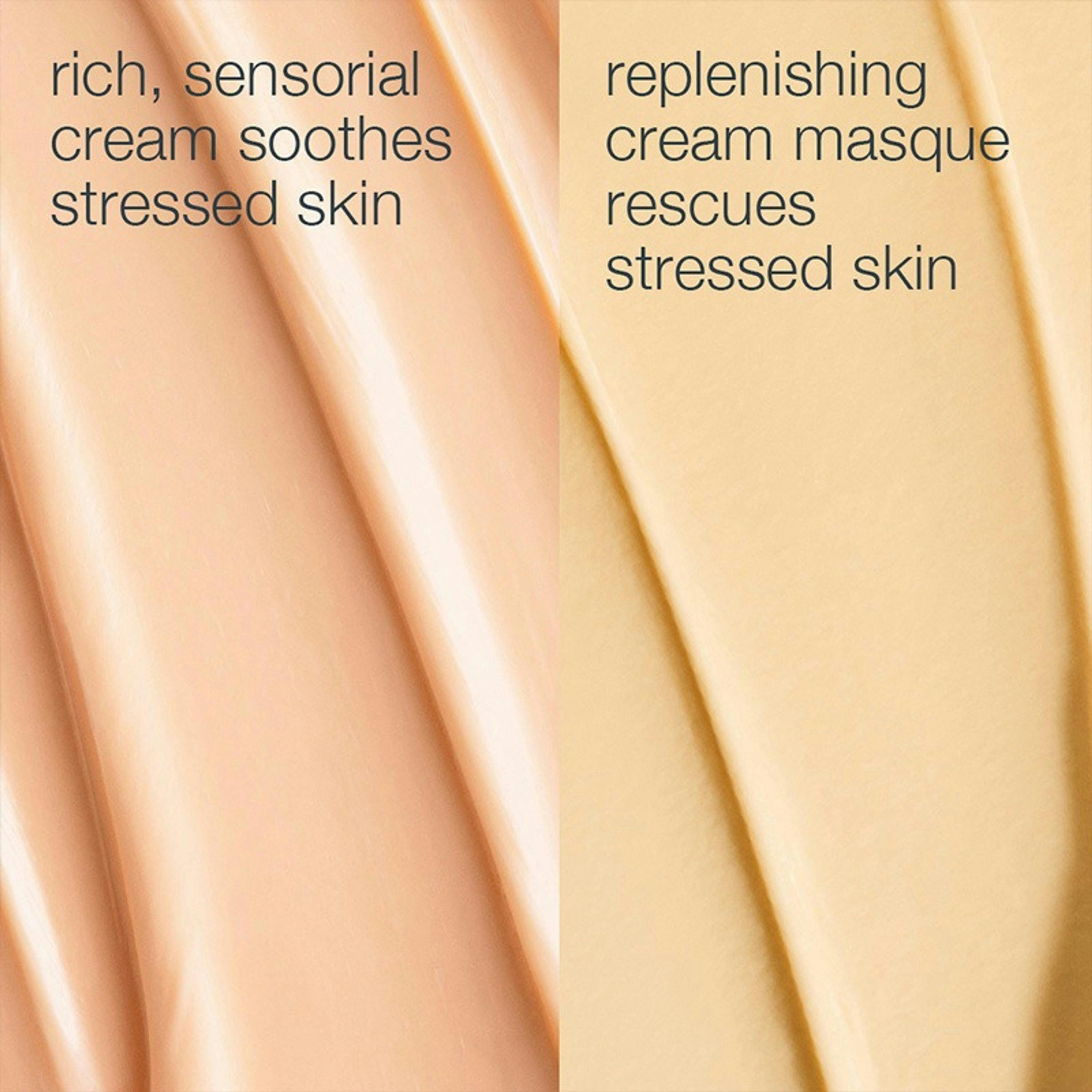 Dermalogica Stressed Skin Recovery System 1 ea Duo , view 2 of 6