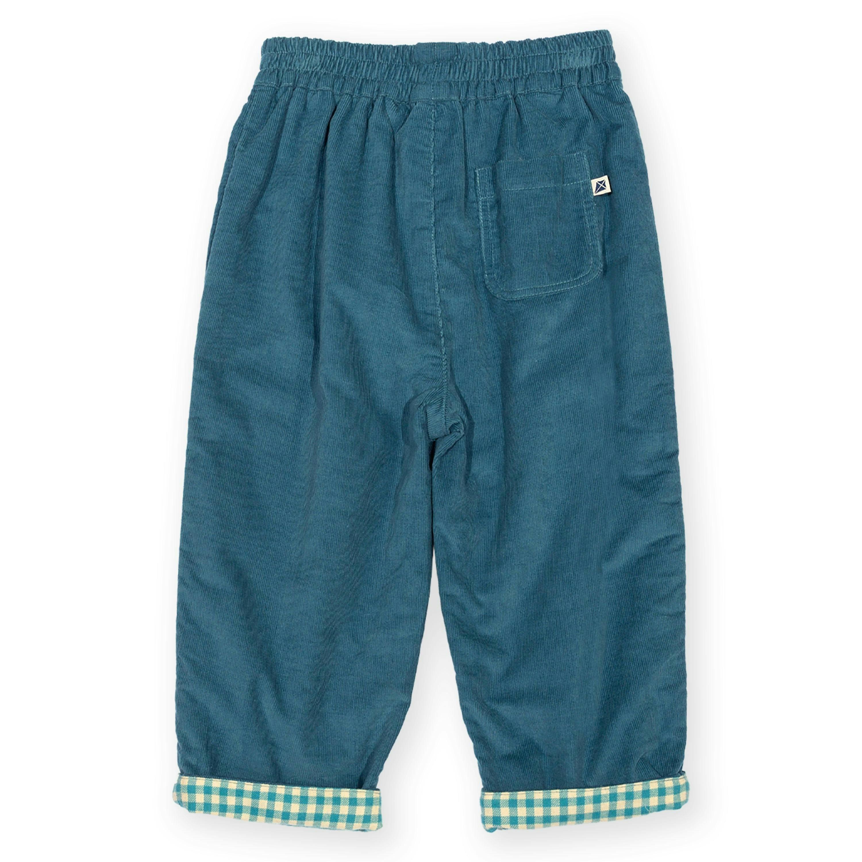 Kids Organic Ocean Check Reversible Pull Ups , view 5 of 6