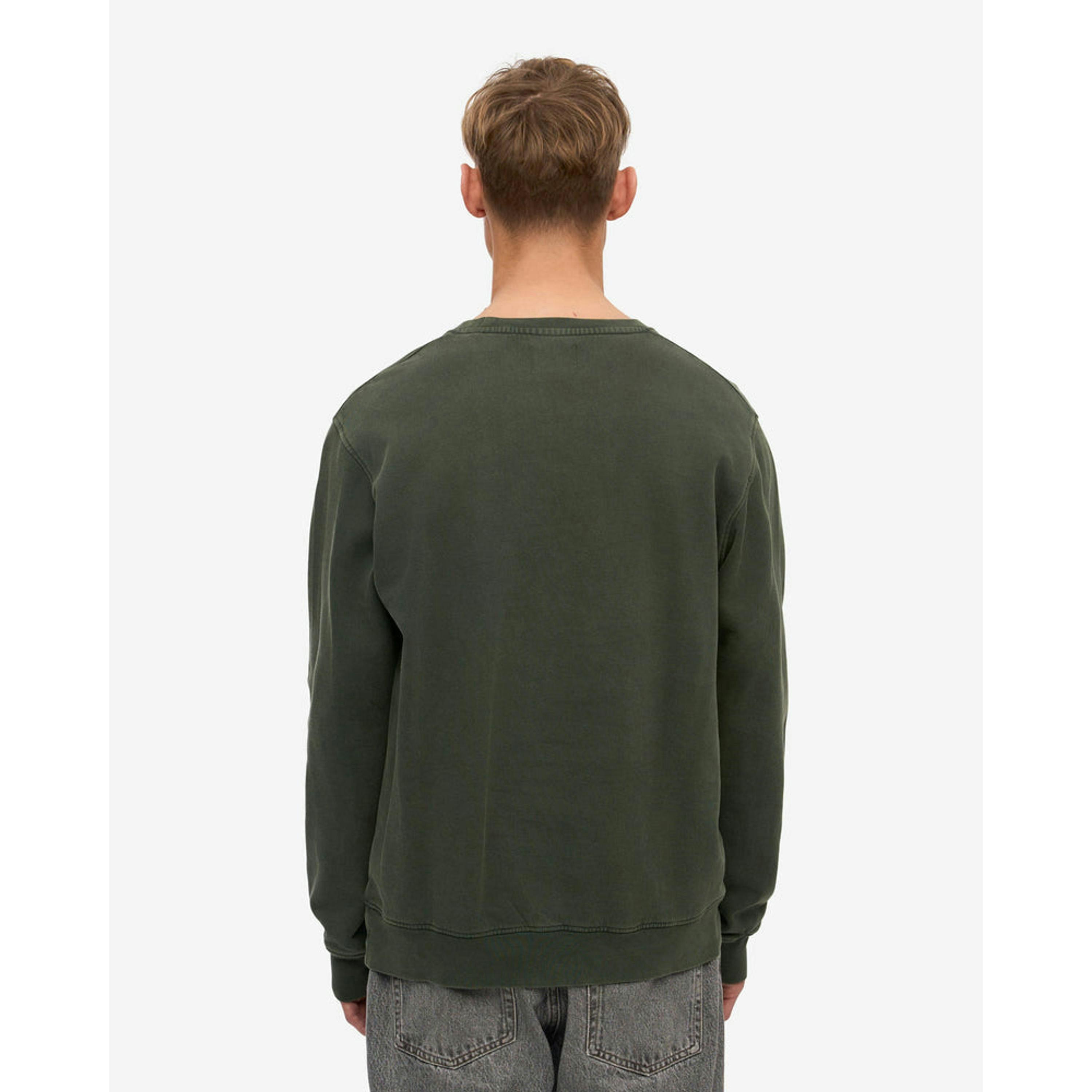 Colourful Standard Sweatshirt  in Green , view 2 of 5
