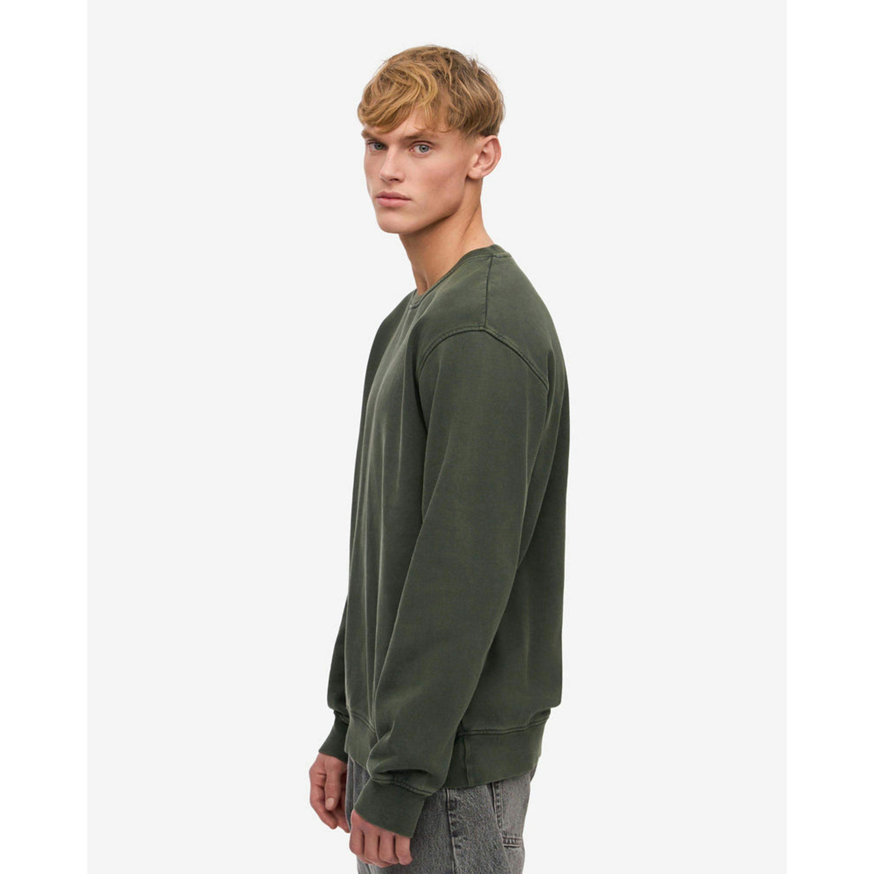 Colourful Standard Sweatshirt  in Green , view 3 of 5