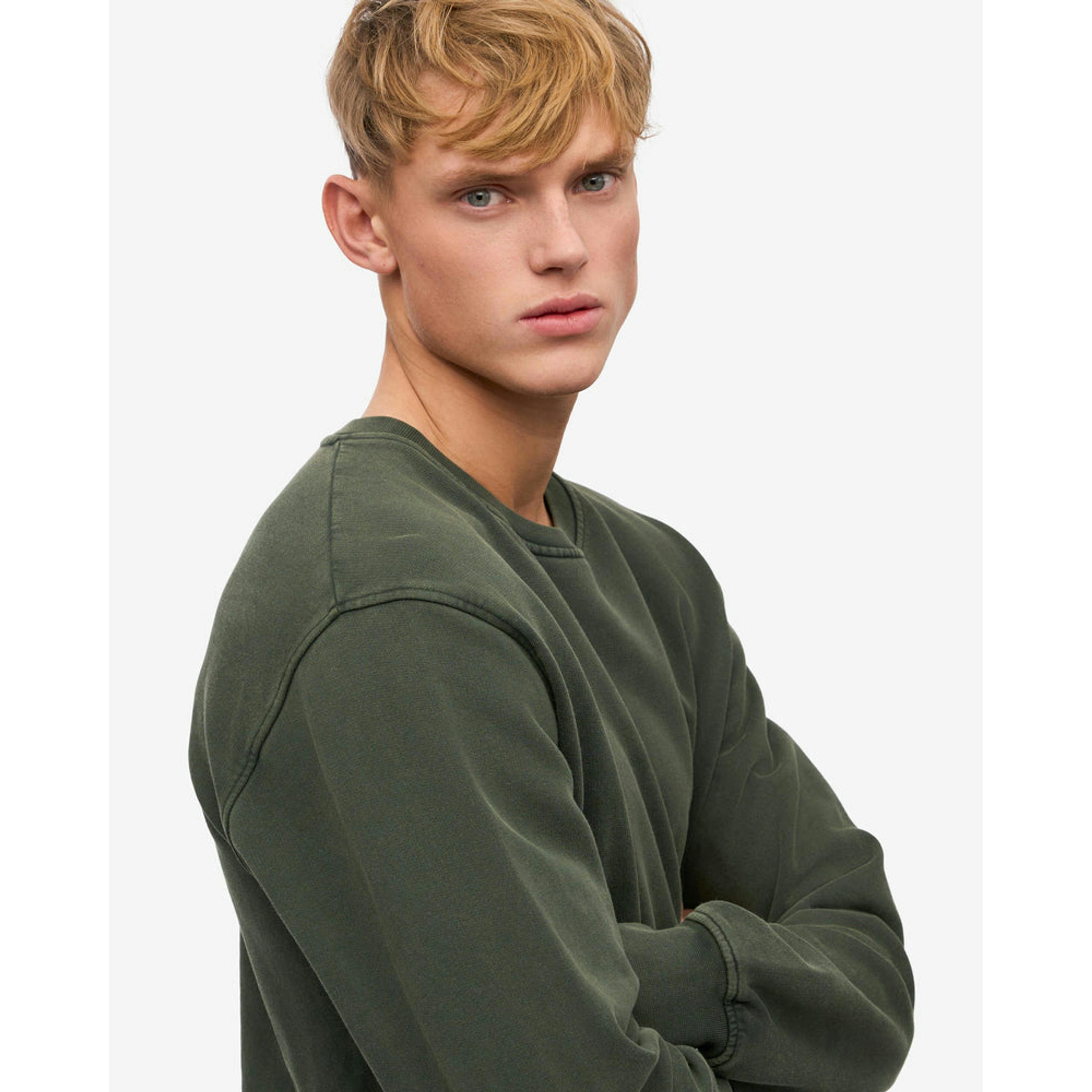 Colourful Standard Sweatshirt  in Green , view 4 of 5