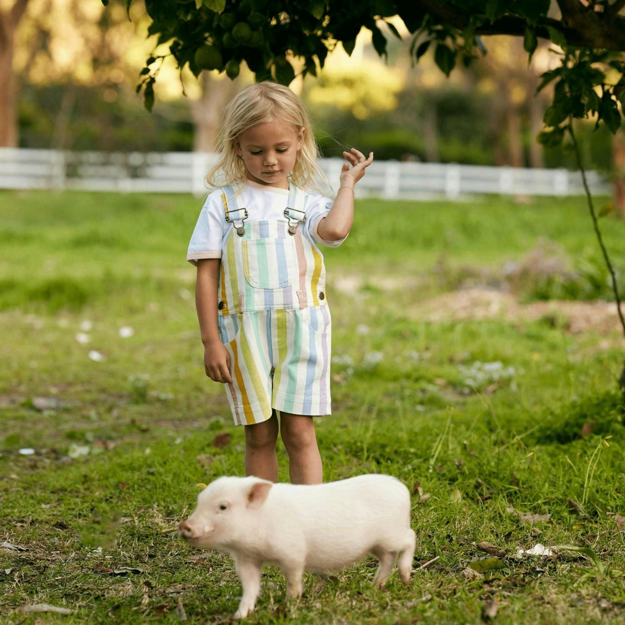 Classic Wide Stripe Shorts - Multicolour , view 3 of 6