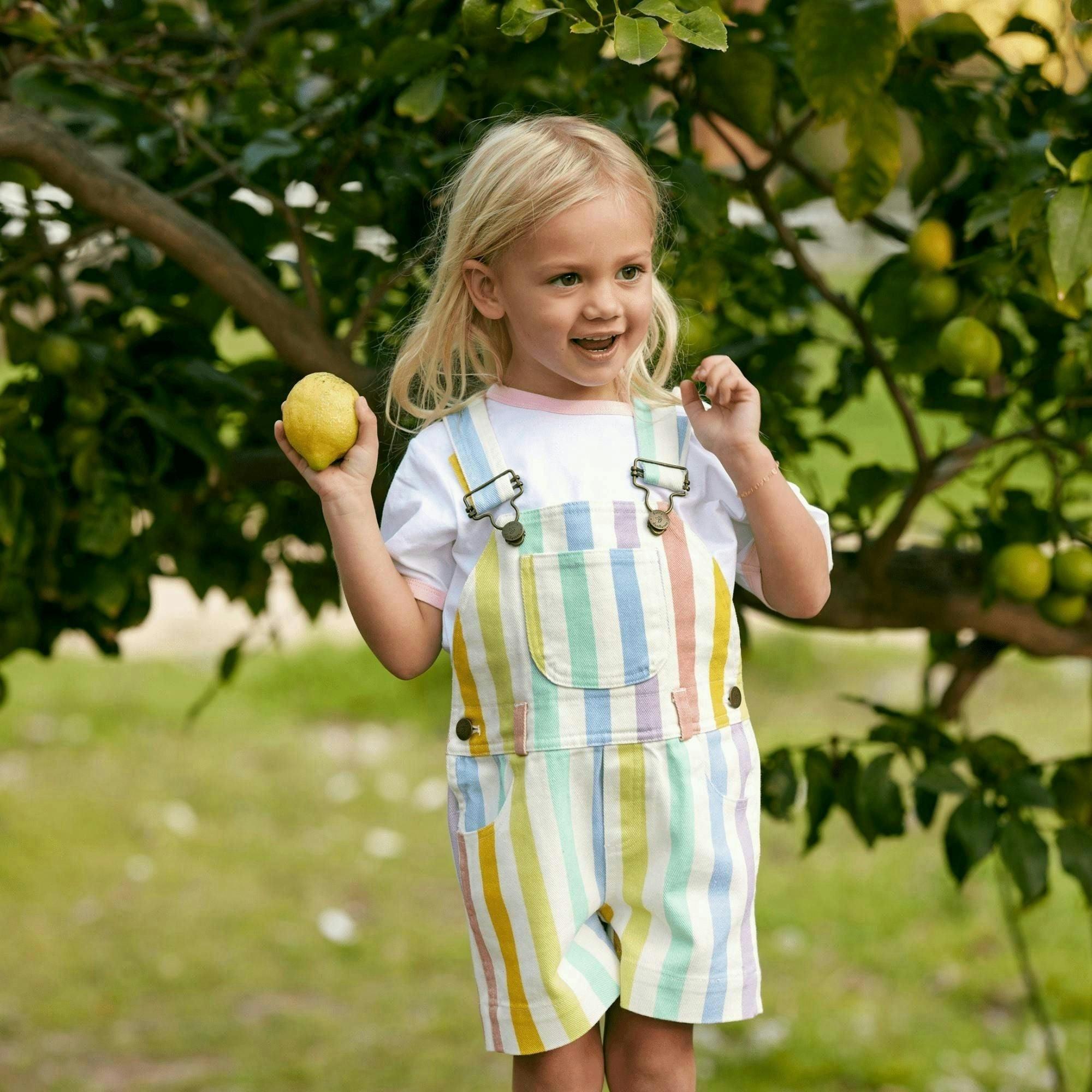 Classic Wide Stripe Shorts - Multicolour , view 6 of 6
