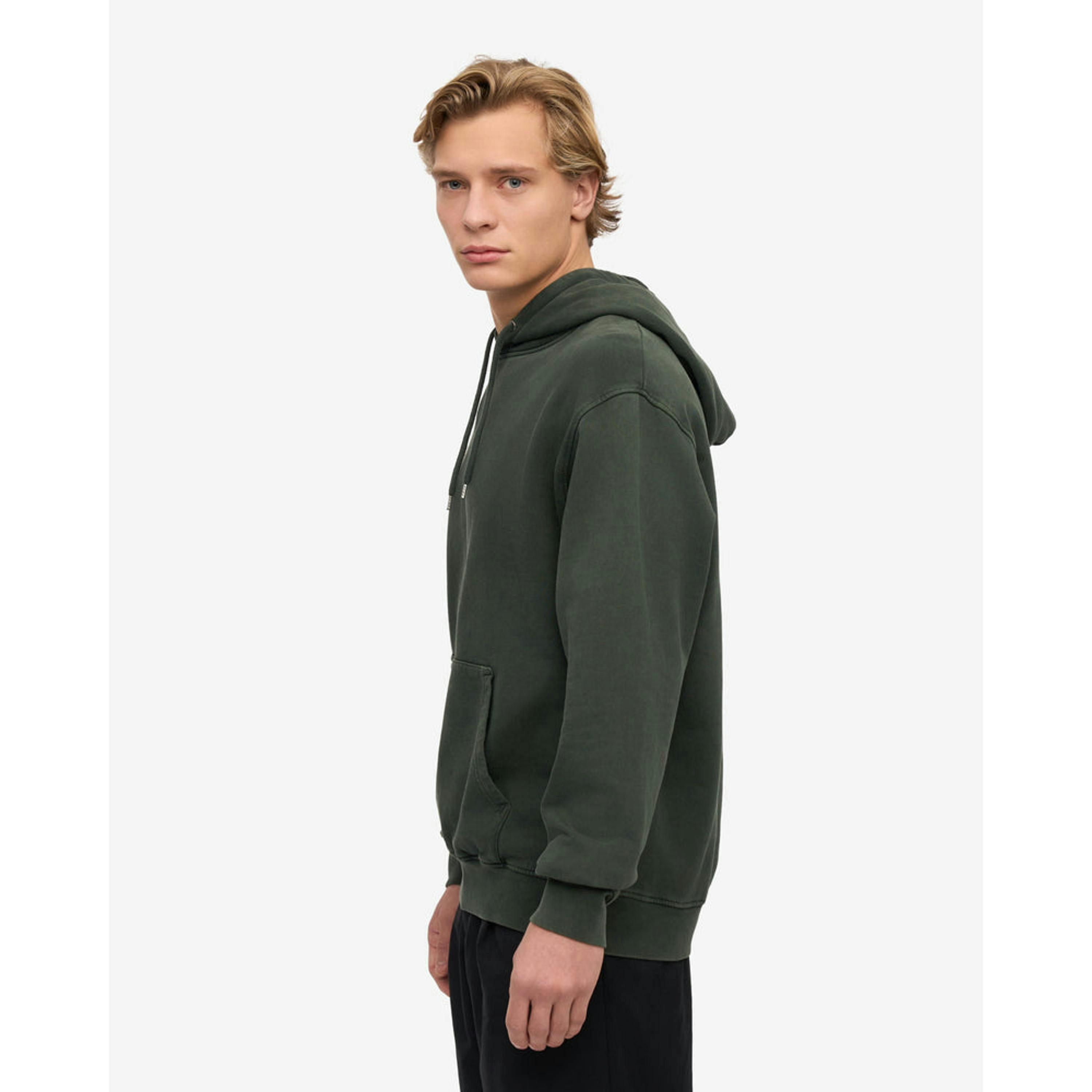 Colourful Standard Hoodie  in Grey , view 3 of 5