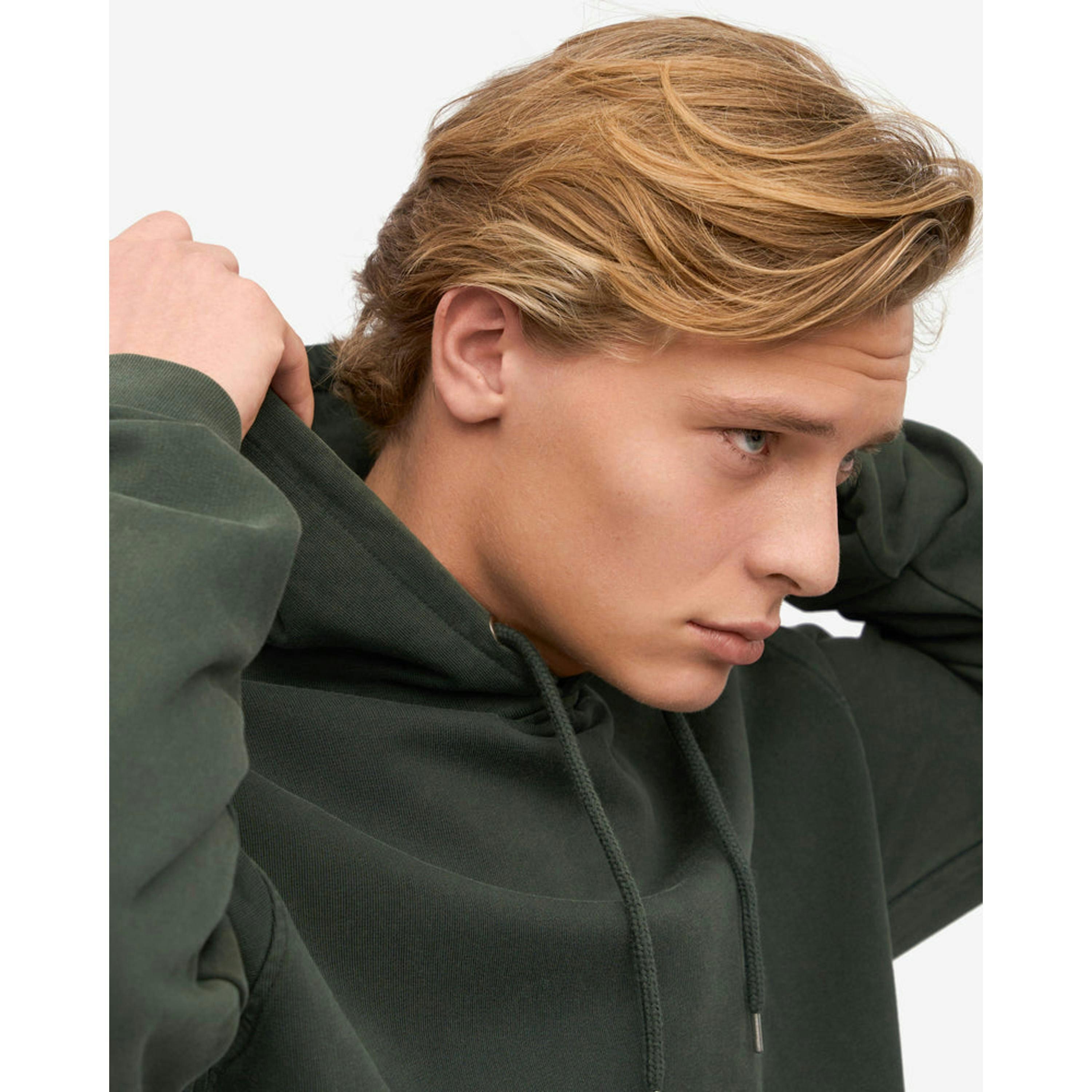 Colourful Standard Hoodie  in Grey , view 4 of 5