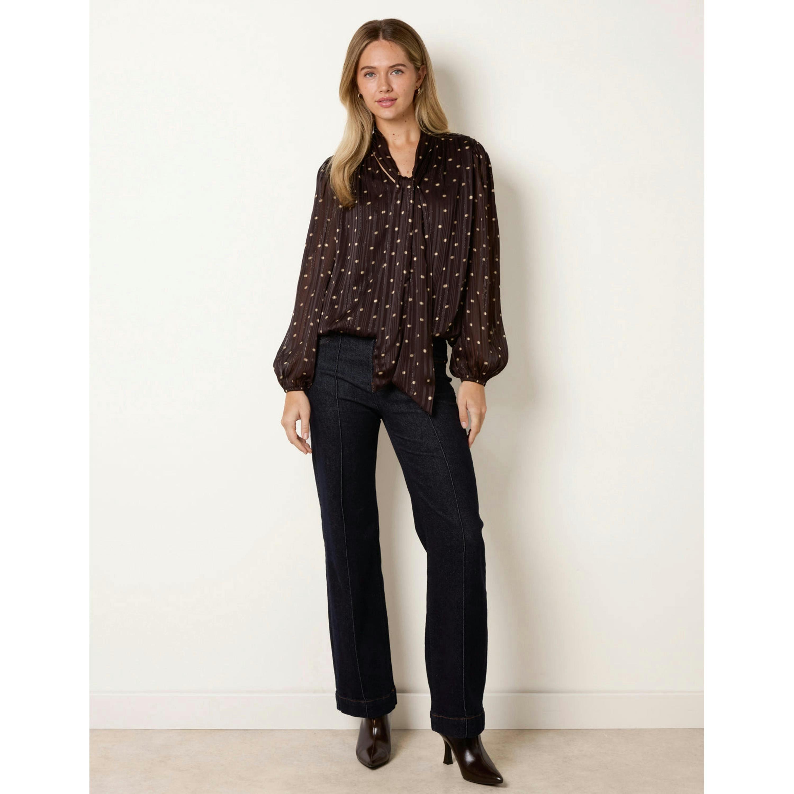 Blue Vanilla Metallic Polka Dot V Neck Tie Puff Ball Blouse  in Brown , view 3 of 4