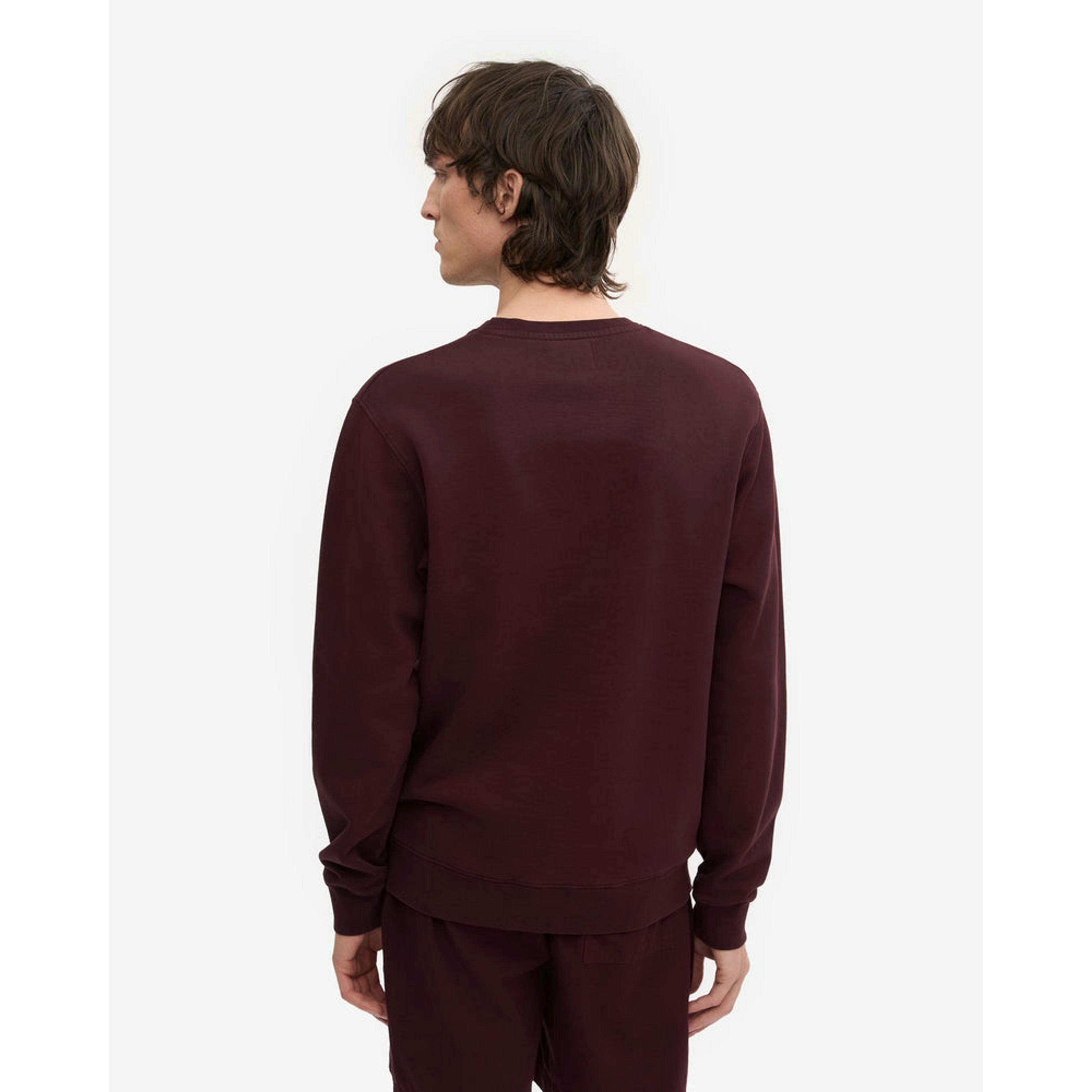 Colourful Standard Sweatshirt  in Wine , view 2 of 5