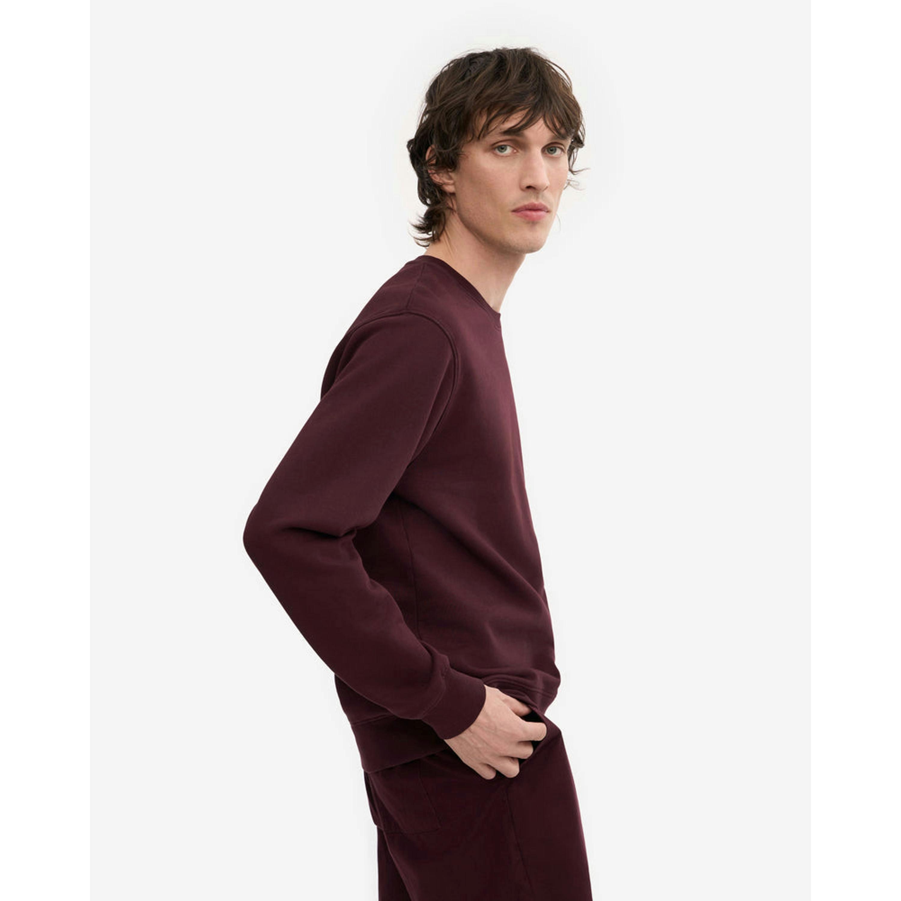 Colourful Standard Sweatshirt  in Wine , view 3 of 5