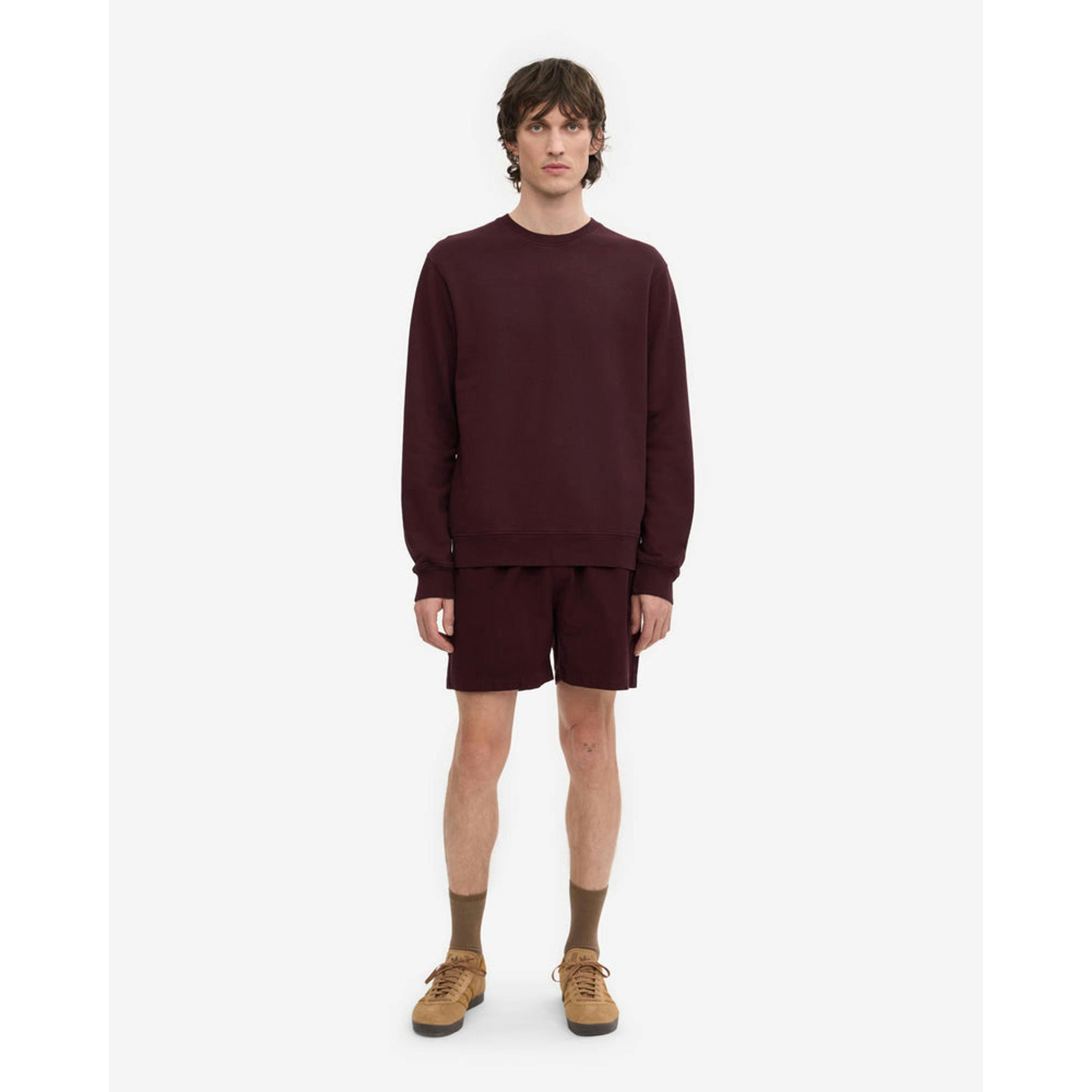 Colourful Standard Sweatshirt  in Wine , view 4 of 5
